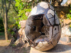 Polished XL Septerye Sauvage "Dragons Egg" Geode with Fitting Cap x 1 From Mahajanga, Madagascar - Toprock Gemstones and Minerals 