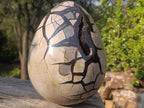 Polished XL Septerye Sauvage "Dragons Egg" Geode with Fitting Cap x 1 From Mahajanga, Madagascar - Toprock Gemstones and Minerals 