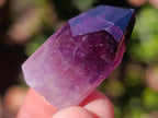 Polished Small Window Amethyst Crystals x 70 From Akansobe, Madagascar - Toprock Gemstones and Minerals 