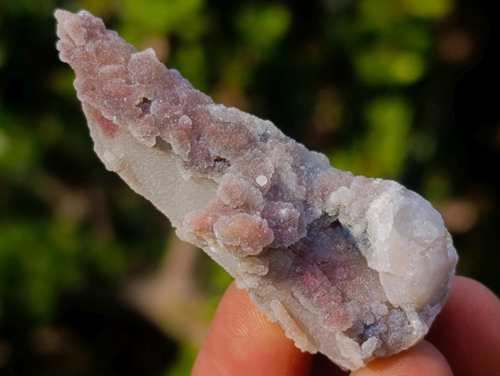 Natural Drusy Fairy Spirit Quartz Finger Crystals x 70 From Boekenhouthoek, South Africa - Toprock Gemstones and Minerals 