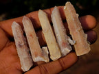 Natural Drusy Fairy Spirit Quartz Finger Crystals x 70 From Boekenhouthoek, South Africa - Toprock Gemstones and Minerals 