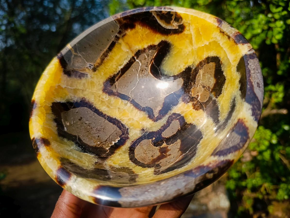 Polished Large Septerye Bowl x 1 From Mahajanga, Madagascar - Toprock Gemstones and Minerals 