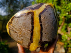 Polished Large Septerye Bowl x 1 From Mahajanga, Madagascar - Toprock Gemstones and Minerals 