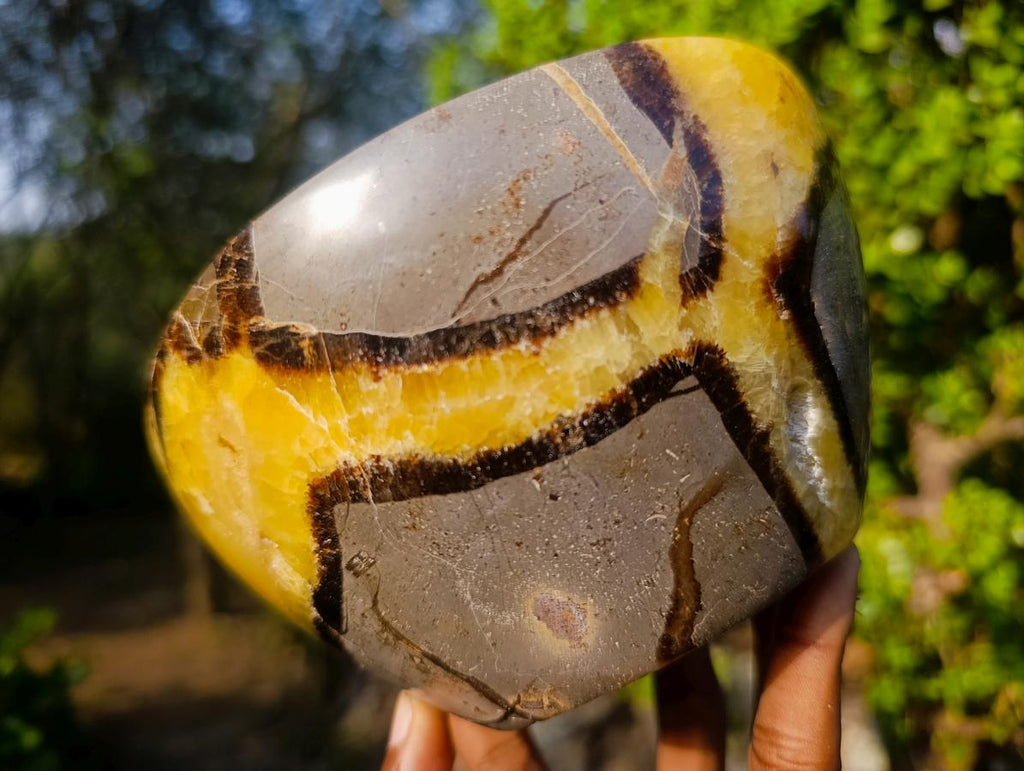Polished Large Septerye Bowl x 1 From Mahajanga, Madagascar - Toprock Gemstones and Minerals 