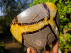 Polished Large Septerye Bowl x 1 From Mahajanga, Madagascar - Toprock Gemstones and Minerals 