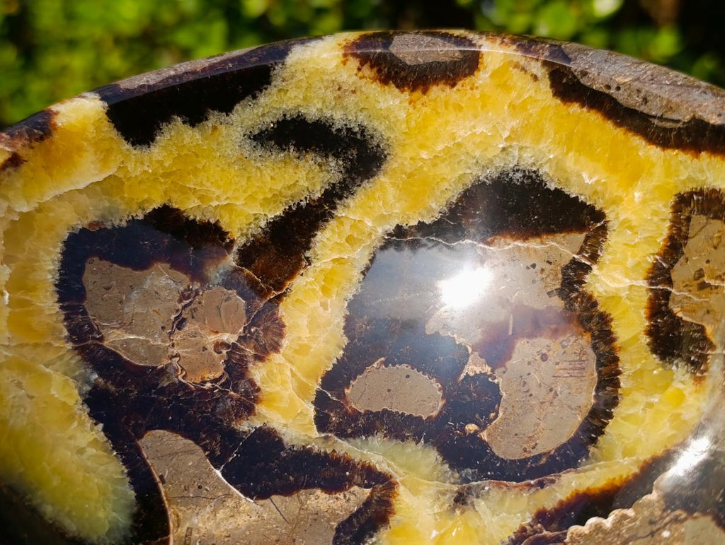 Polished Large Septerye Bowl x 1 From Mahajanga, Madagascar - Toprock Gemstones and Minerals 