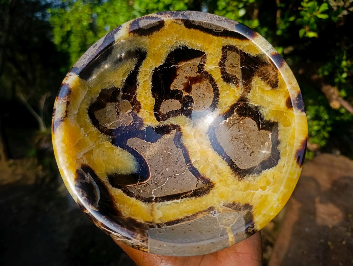 Polished Large Septerye Bowl x 1 From Mahajanga, Madagascar - Toprock Gemstones and Minerals 