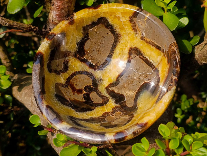 Polished Large Septerye Bowl x 1 From Mahajanga, Madagascar - Toprock Gemstones and Minerals 