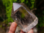 Polished Phantom Smokey Quartz Crystals x 4 From Madagascar - Toprock Gemstones and Minerals 