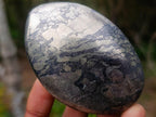 Polished Basalt Pharaoh Stone Galets x 6 From Iron Duke Mine, Zimbabwe - Toprock Gemstones and Minerals 