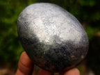 Polished Basalt Pharaoh Stone Galets x 6 From Iron Duke Mine, Zimbabwe - Toprock Gemstones and Minerals 