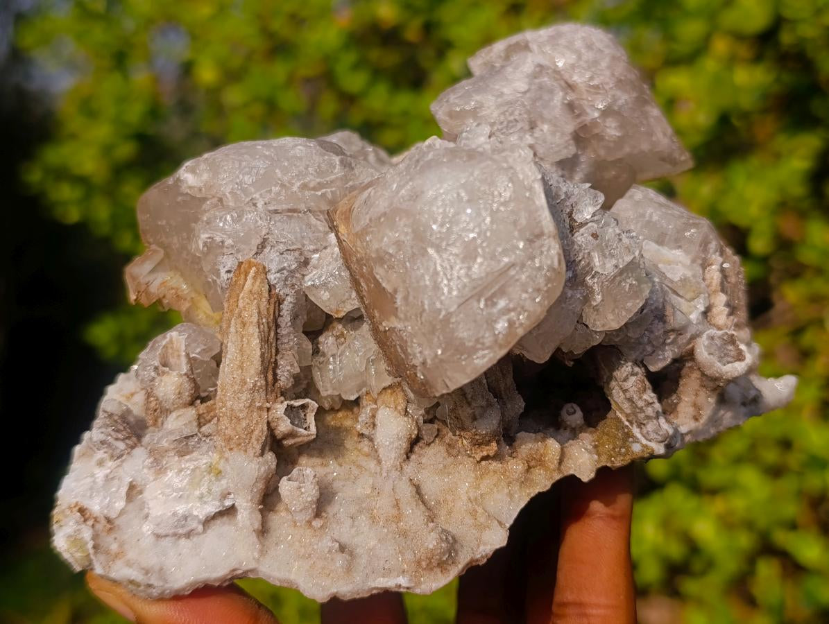 Natural Rhombohedral Calcite and Drusy Spearhead Sceptres Specimen x 1 From Albert's Mountain, Lesotho - Toprock Gemstones and Minerals 