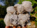 Natural Rhombohedral Calcite and Drusy Spearhead Sceptres Specimen x 1 From Albert's Mountain, Lesotho - Toprock Gemstones and Minerals 