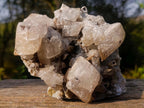Natural Rhombohedral Calcite and Drusy Spearhead Sceptres Specimen x 1 From Albert's Mountain, Lesotho - Toprock Gemstones and Minerals 