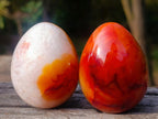 Polished Carnelian Agate Gemstone Eggs x 8 From Madagascar - Toprock Gemstones and Minerals 