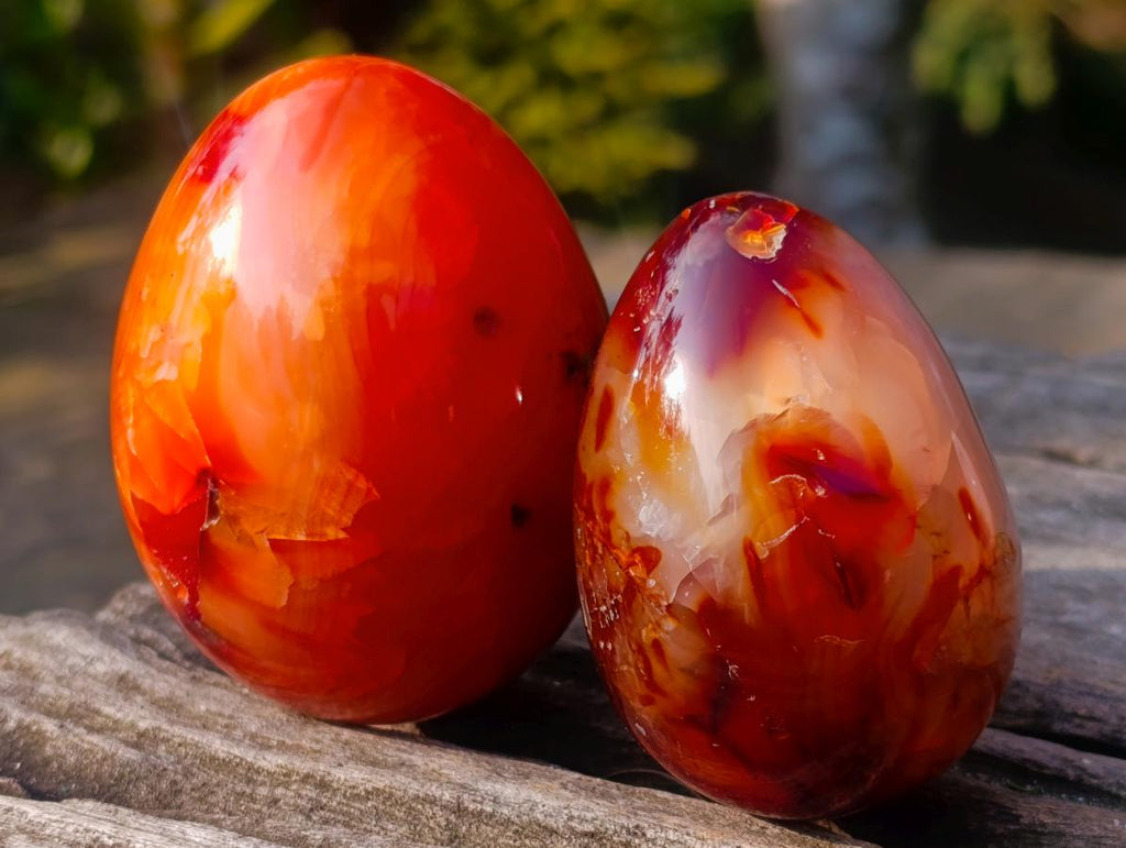Polished Carnelian Agate Gemstone Eggs x 8 From Madagascar - Toprock Gemstones and Minerals 
