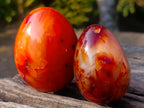 Polished Carnelian Agate Gemstone Eggs x 8 From Madagascar - Toprock Gemstones and Minerals 