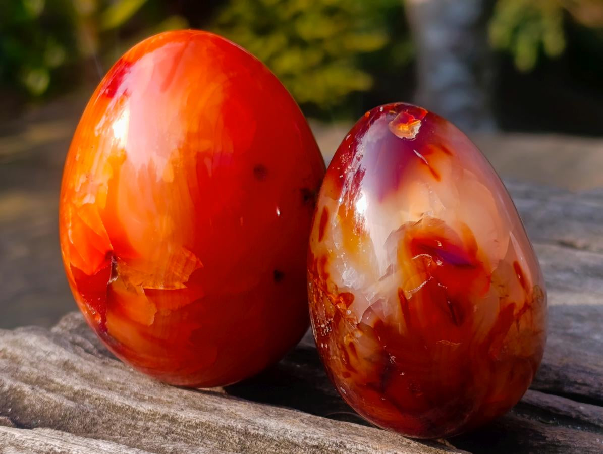 Polished Carnelian Agate Gemstone Eggs x 8 From Madagascar - Toprock Gemstones and Minerals 