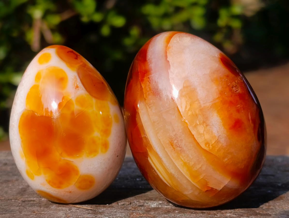 Polished Carnelian Agate Gemstone Eggs x 8 From Madagascar - Toprock Gemstones and Minerals 