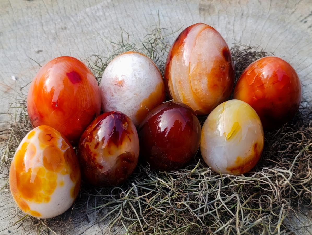 Polished Carnelian Agate Gemstone Eggs x 8 From Madagascar - Toprock Gemstones and Minerals 