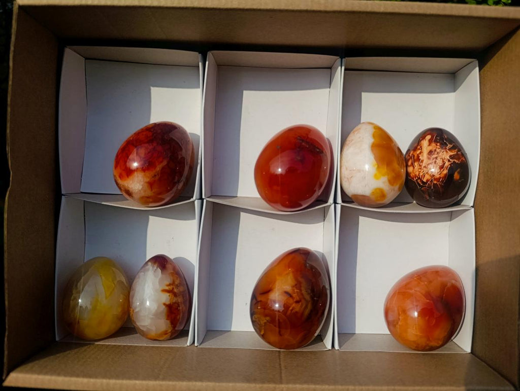 Polished Carnelian Agate Gemstone Eggs x 8 From Madagascar - Toprock Gemstones and Minerals 