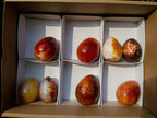 Polished Carnelian Agate Gemstone Eggs x 8 From Madagascar - Toprock Gemstones and Minerals 