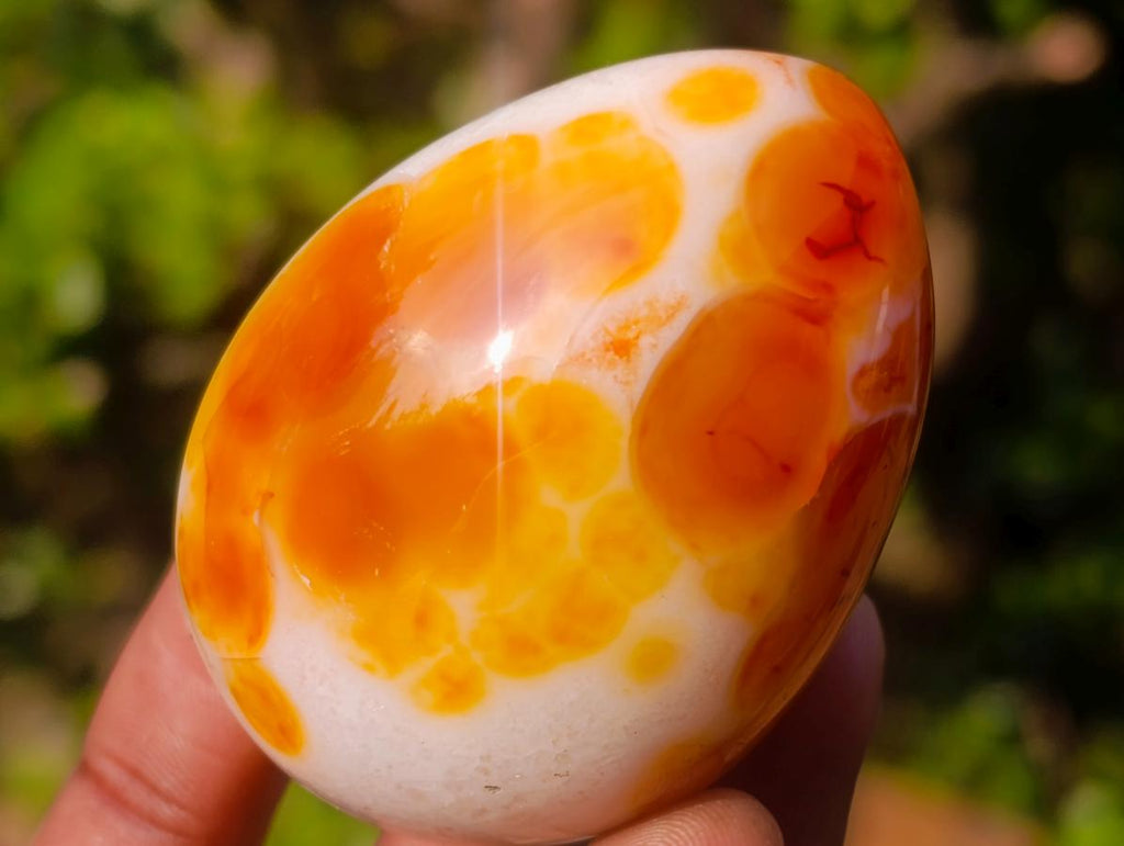 Polished Carnelian Agate Gemstone Eggs x 8 From Madagascar - Toprock Gemstones and Minerals 