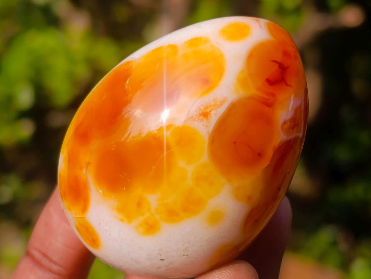 Polished Carnelian Agate Gemstone Eggs x 8 From Madagascar - Toprock Gemstones and Minerals 