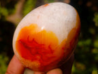 Polished Carnelian Agate Gemstone Eggs x 8 From Madagascar - Toprock Gemstones and Minerals 