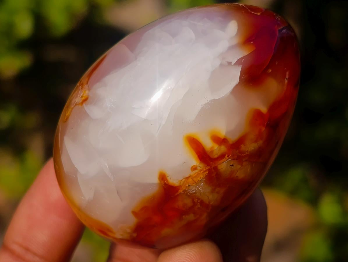 Polished Carnelian Agate Gemstone Eggs x 8 From Madagascar - Toprock Gemstones and Minerals 