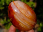 Polished Carnelian Agate Gemstone Eggs x 8 From Madagascar - Toprock Gemstones and Minerals 