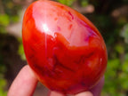Polished Carnelian Agate Gemstone Eggs x 8 From Madagascar - Toprock Gemstones and Minerals 