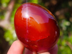 Polished Carnelian Agate Gemstone Eggs x 8 From Madagascar - Toprock Gemstones and Minerals 