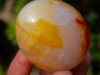 Polished Carnelian Agate Gemstone Eggs x 8 From Madagascar - Toprock Gemstones and Minerals 