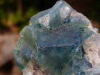 Natural Green Cubic Fluorite Specimens x 4 From Mandrosonoro, Madagascar - Toprock Gemstones and Minerals 