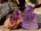 Polished Small Dark Amethyst Window Crystals x 20 From Akansobe, Madagascar - Toprock Gemstones and Minerals 