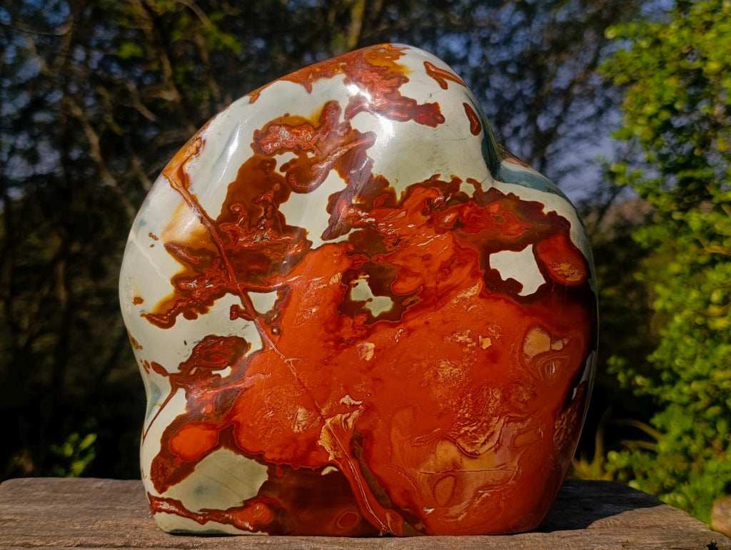 Polished XL Polychrome Jasper Standing Display Piece x 1 From NW Coast, Madagascar - Toprock Gemstones and Minerals 