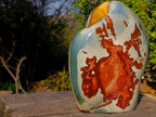 Polished XL Polychrome Jasper Standing Display Piece x 1 From NW Coast, Madagascar - Toprock Gemstones and Minerals 