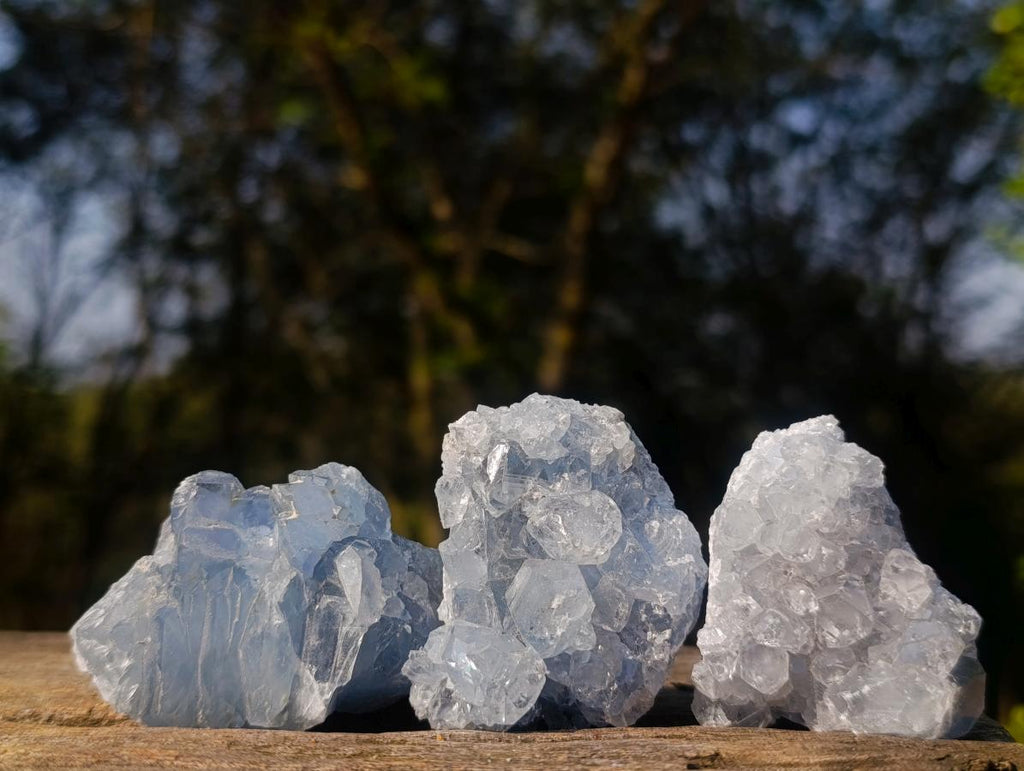Natural Small Blue Celestite Specimens x 34 From Sakoany, Madagascar - Toprock Gemstones and Minerals 