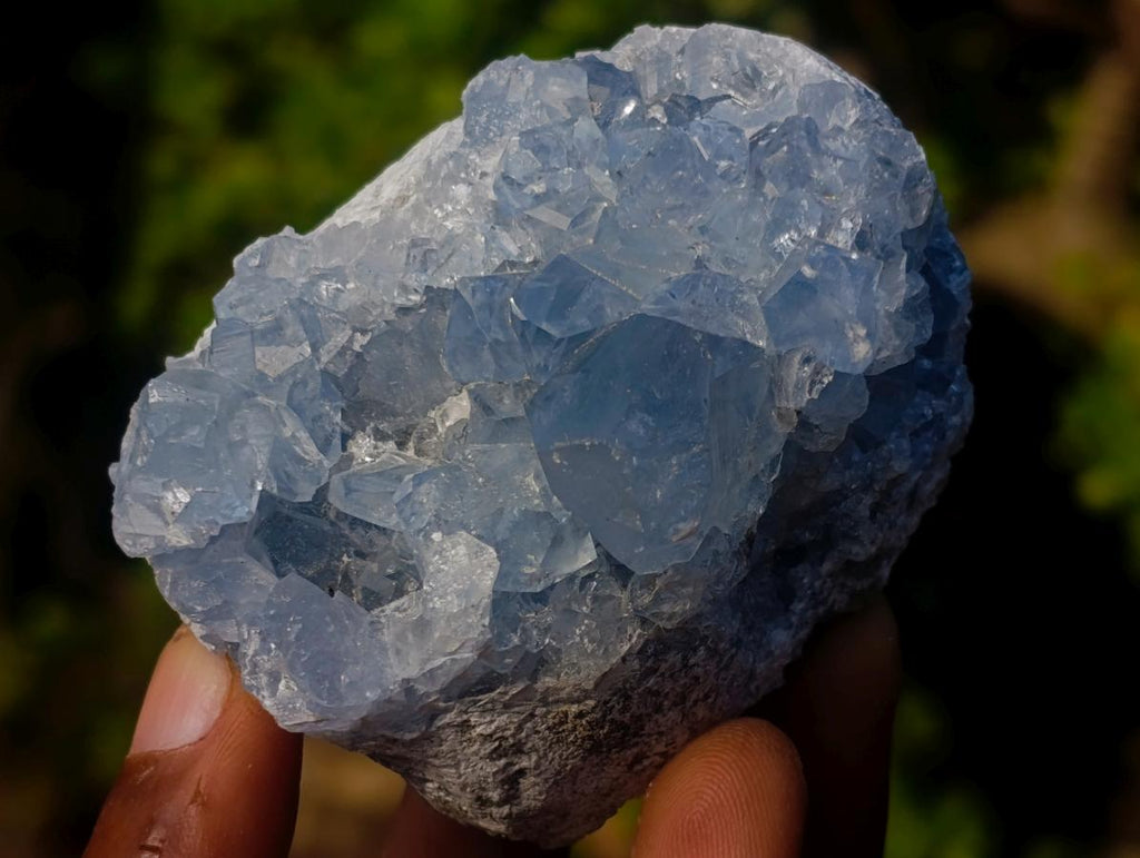 Natural Small Blue Celestite Specimens x 34 From Sakoany, Madagascar - Toprock Gemstones and Minerals 
