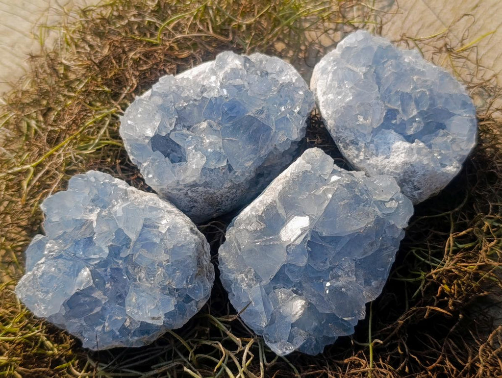 Natural Small Blue Celestite Specimens x 34 From Sakoany, Madagascar - Toprock Gemstones and Minerals 