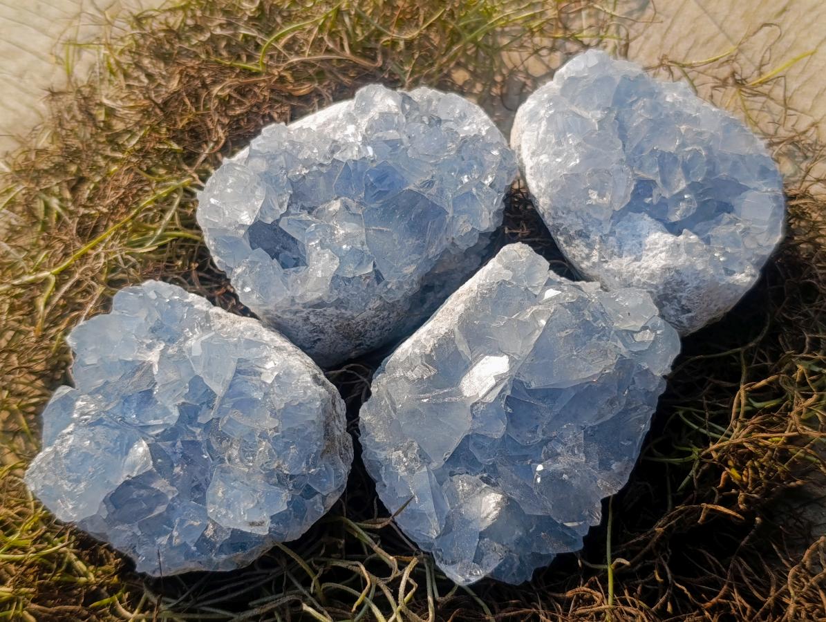 Natural Small Blue Celestite Specimens x 34 From Sakoany, Madagascar - Toprock Gemstones and Minerals 