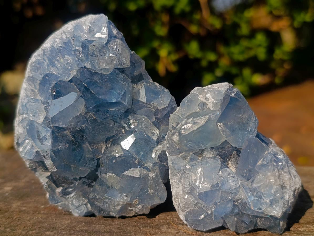 Natural Small Blue Celestite Specimens x 34 From Sakoany, Madagascar - Toprock Gemstones and Minerals 