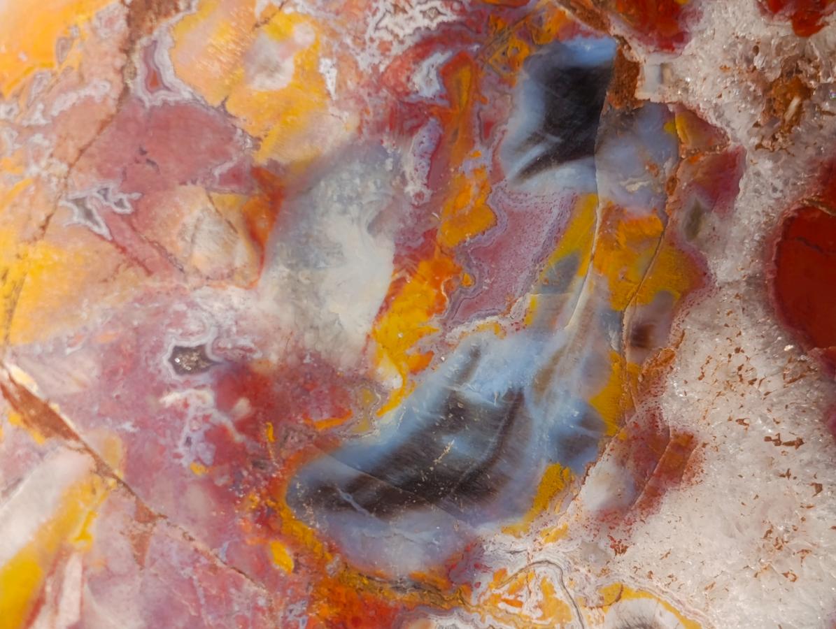 Polished Large Red Podocarpus Petrified Wood Bowl x 1 From Mahajanga, Madagascar - Toprock Gemstones and Minerals 