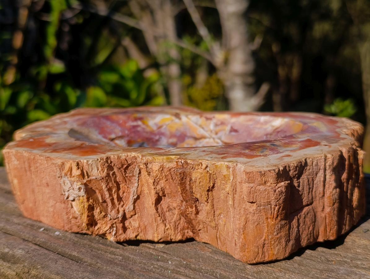 Polished Large Red Podocarpus Petrified Wood Bowl x 1 From Mahajanga, Madagascar - Toprock Gemstones and Minerals 