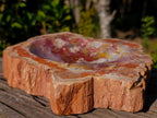 Polished Large Red Podocarpus Petrified Wood Bowl x 1 From Mahajanga, Madagascar - Toprock Gemstones and Minerals 