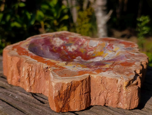 Polished Large Red Podocarpus Petrified Wood Bowl x 1 From Mahajanga, Madagascar - Toprock Gemstones and Minerals 