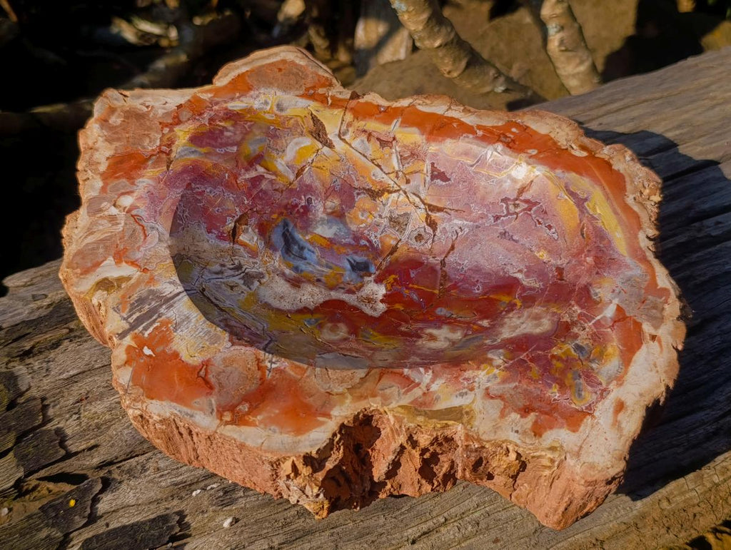 Polished Large Red Podocarpus Petrified Wood Bowl x 1 From Mahajanga, Madagascar - Toprock Gemstones and Minerals 