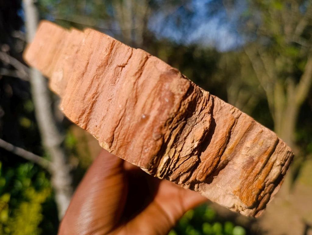 Polished Large Red Podocarpus Petrified Wood Bowl x 1 From Mahajanga, Madagascar - Toprock Gemstones and Minerals 