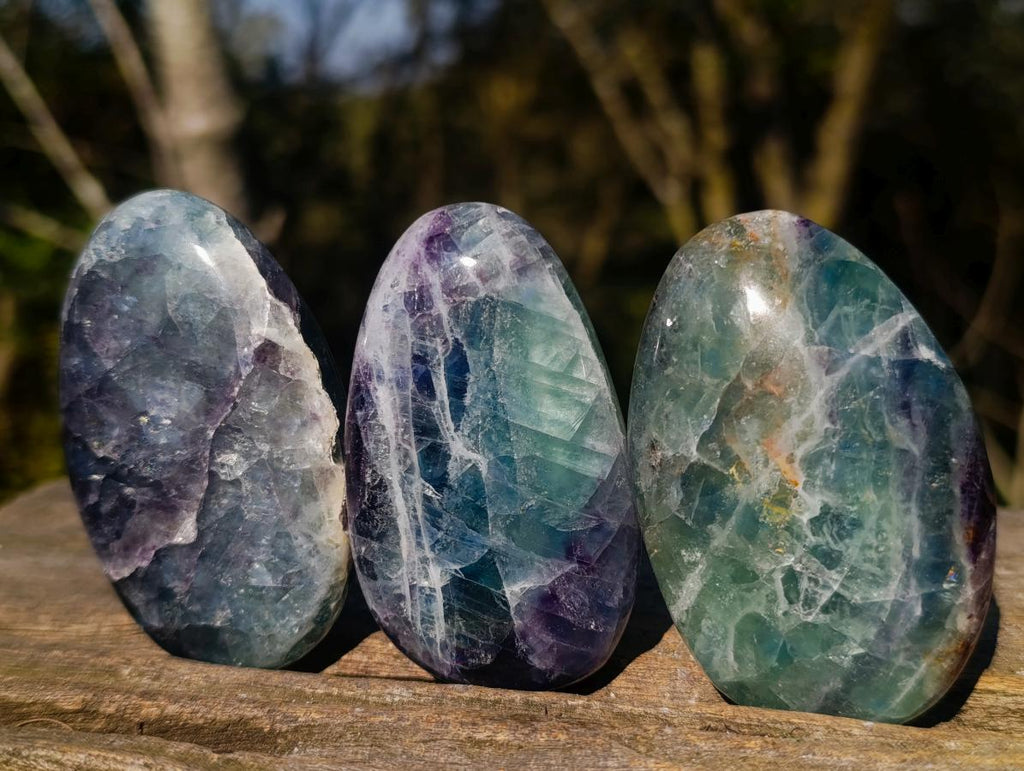 Polished Watermelon Fluorite Palm Stones x 12 From Uis, Namibia - Toprock Gemstones and Minerals 